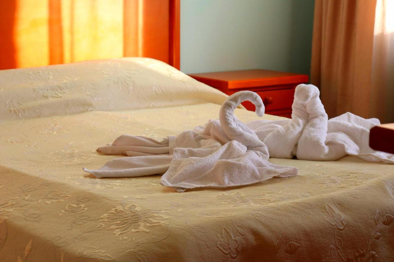 Family Hotel Nadine 班斯科 外观 照片